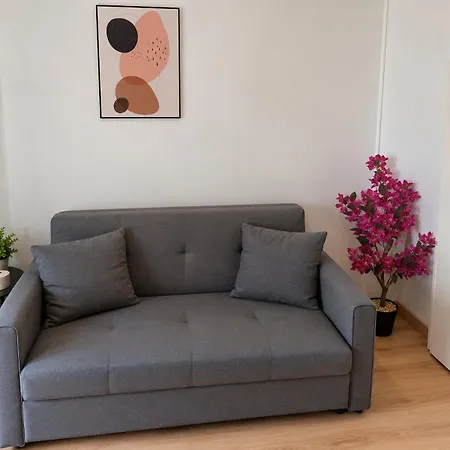Le Cosy 43 - Avec Cour Pamiers