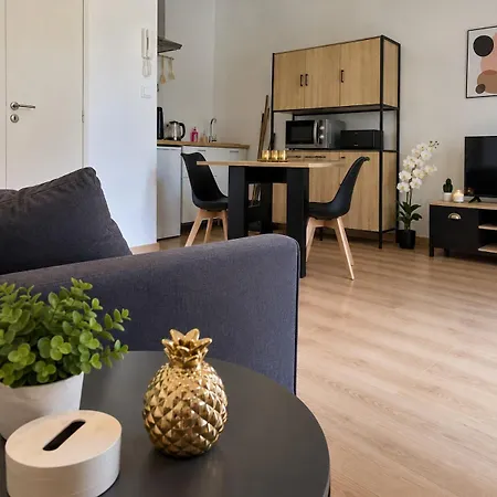 Appartement Le Cosy 43 - Avec Cour Pamiers